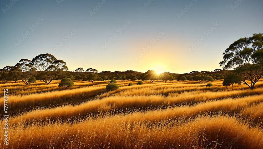 Obraz premium Sunset in the Australian Outback