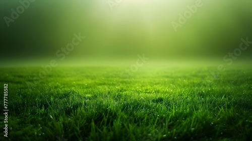 Foggy Green Field with Sunlight at Horizon