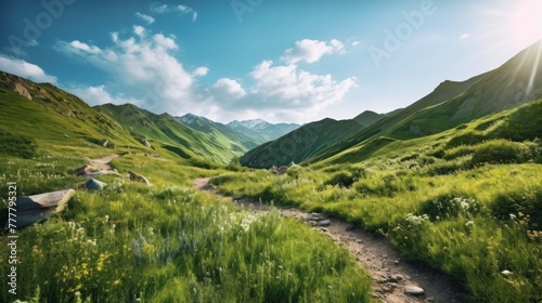 Summer landscape in mountains with trail isolated on transparent background © ANIS