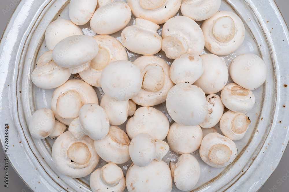 White champignon mushrooms fresh uncooked on white ceramic plate copy space White champignon mushrooms fresh uncooked on white ceramic plate copy space