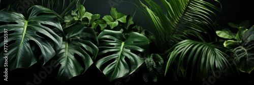 Lush green leaves of a tropical jungle plant stand out vibrantly, creating a striking contrast against a dark backdrop in this captivating natural image
