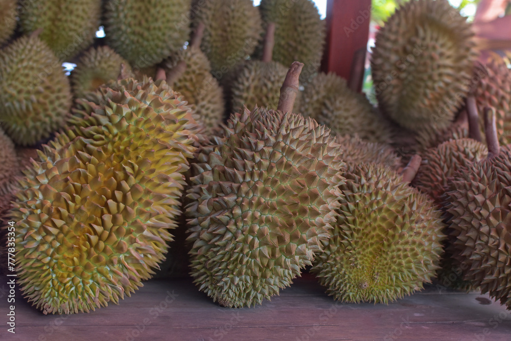 Durian is a popular and expensive fruit. Durian is a popular and expensive fruit.