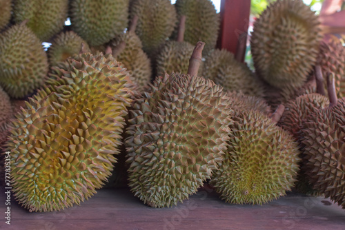 Durian is a popular and expensive fruit.