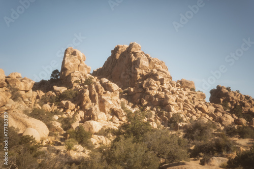 Vintage film like photo of Joshua Tree National Park, CA