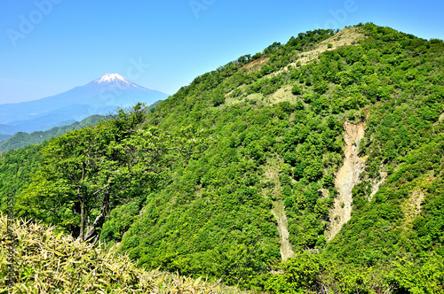 丹沢山地の丹沢山より 初夏の頃 富士山と不動ノ峰を望む 