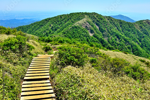 丹沢の不動ノ峰にて　丹沢主脈の縦走路の先に聳える丹沢山
