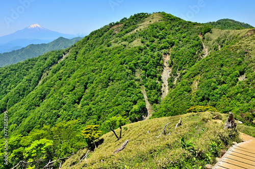 丹沢の丹沢山より　初夏の丹沢主脈の山々と富士山を望む
