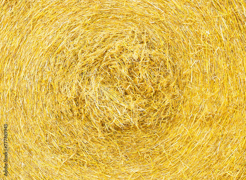 Macro straw texture, collected in a roll of hay in summer sunlight.