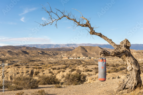 punching bag hanging from a tree photo