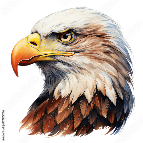 illustration of bald eagle  Isolated on transparent PNG background  Generative ai