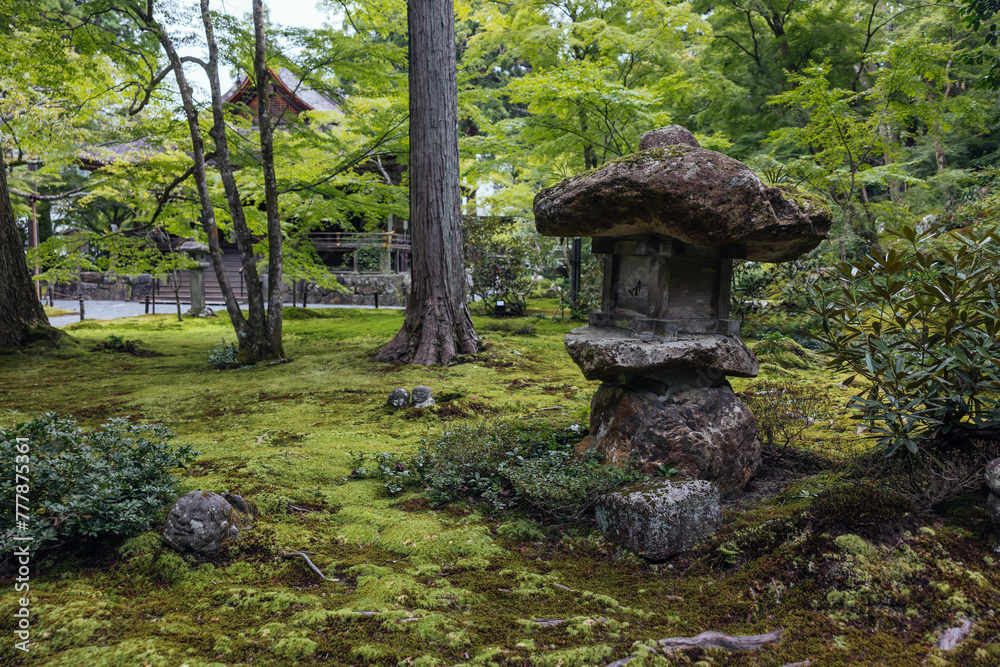 Ancient Lantern Amidst Sanzen-in Moss Garden Ancient Lantern Amidst Sanzen-in Moss Garden