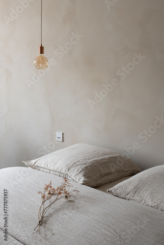 pendant and pillows photo