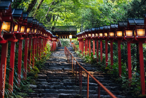 Illuminated Pathway to Kifune Shrine