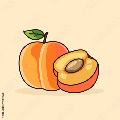 Two pairs of apricots fruit vector illustration
