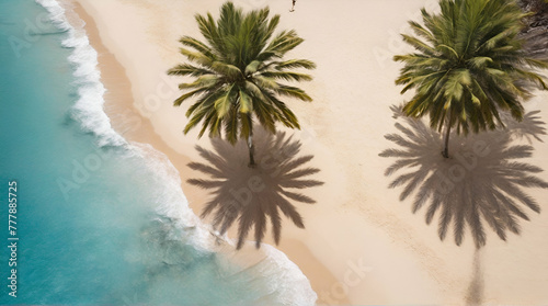 Overhead view of tropical beach with one palm tree sand and water with.summer background.generative.ai © Neelam