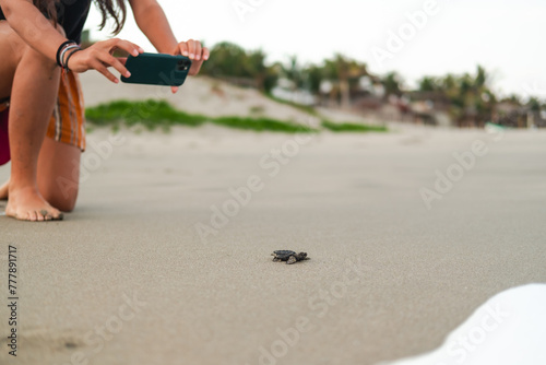  woman filming with phone a Release Of A Baby Sea Turtle photo
