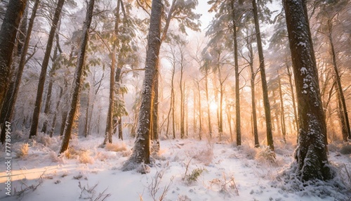 enchanted winter forest nature s frosty fairytale ai generated