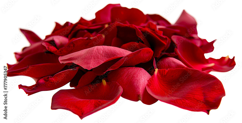 A close up of red flower petals, cut out - stock png. A close up of red flower petals, cut out - stock png.