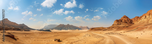 Majestic Desert Landscape: Mountains, Dirt Road, Panoramic View