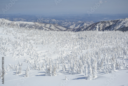 Beautiful Frozen Forest Covered With Powder Snow As Snow Monsters At Mount Zao Range, Zao Juhyo Festival, Yamagata , Japan  photo