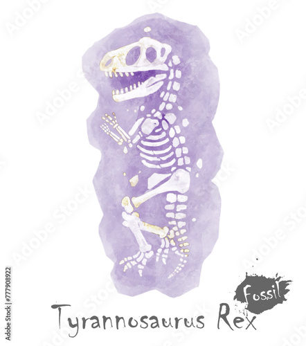 Fossil of Tyrannosaurus rex dinosaur in rock . Watercolor paint design . Vector .