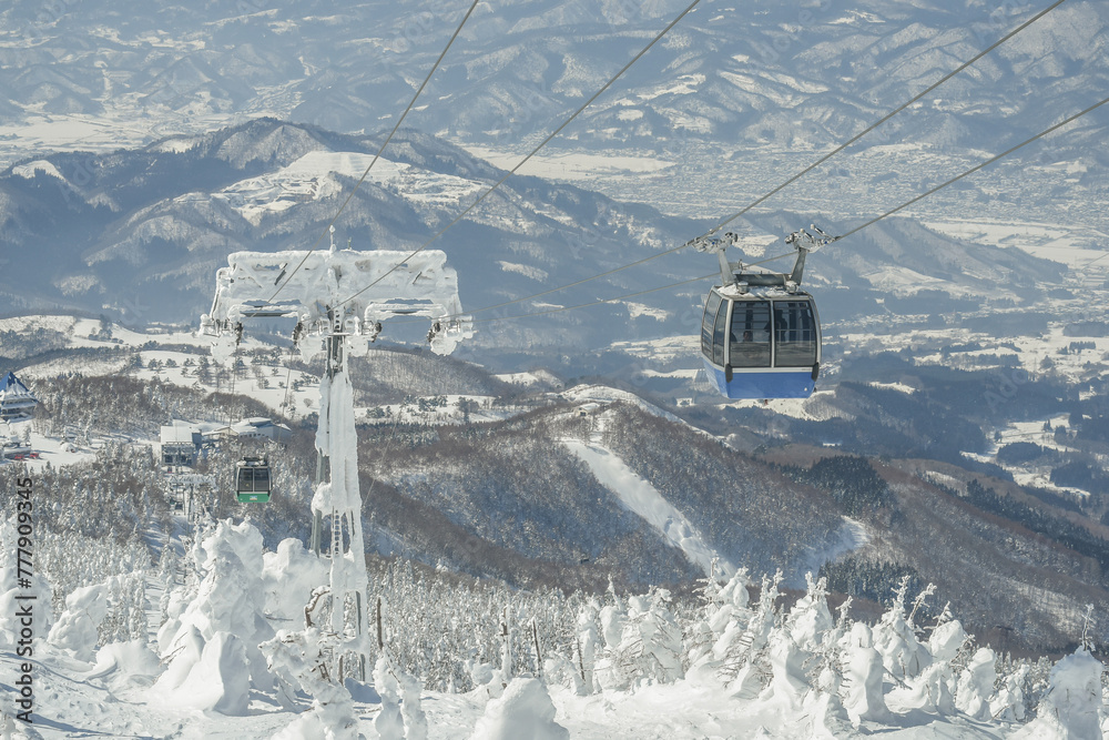 Obraz premium Beautiful Frozen Forest Covered By Powder Snow On The Ropeway To The Hill Of Mount Zao Range, Zao Juhyo Festival, Yamagata , Japan