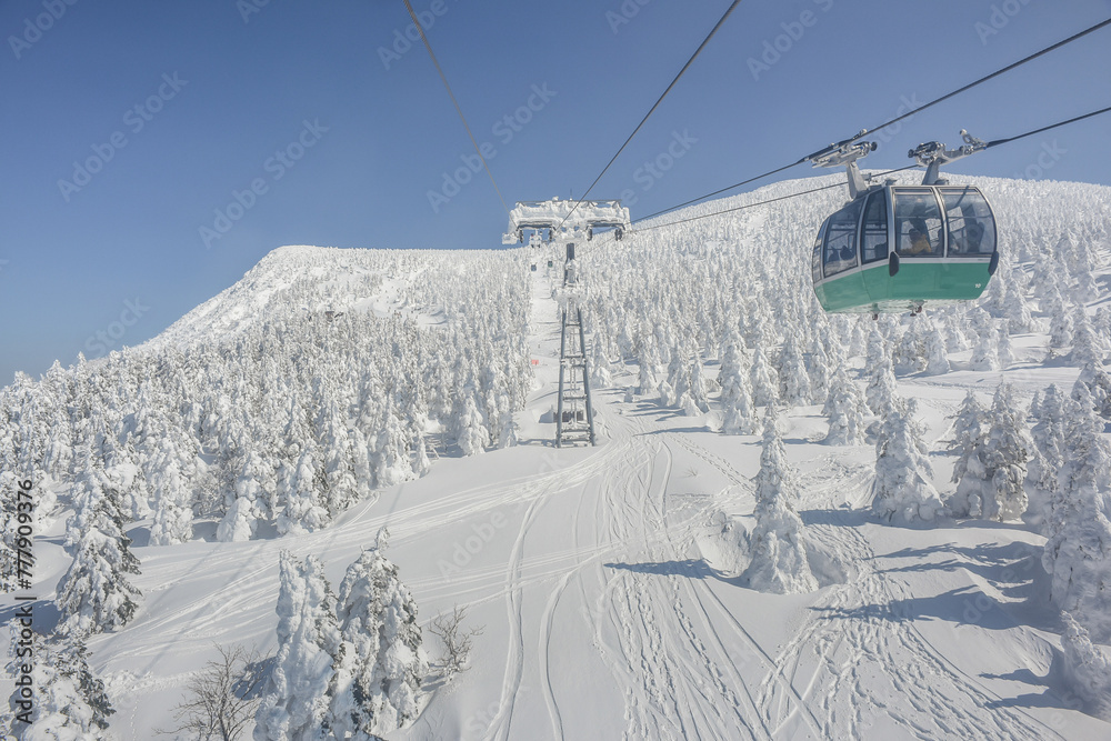 Beautiful Frozen Forest Covered By Powder Snow On The Ropeway To The Hill Of Mount Zao Range, Zao Juhyo Festival, Yamagata , Japan Beautiful Frozen Forest Covered By Powder Snow On The Ropeway To The Hill Of Mount Zao Range, Zao Juhyo Festival, Yamagata , Japan