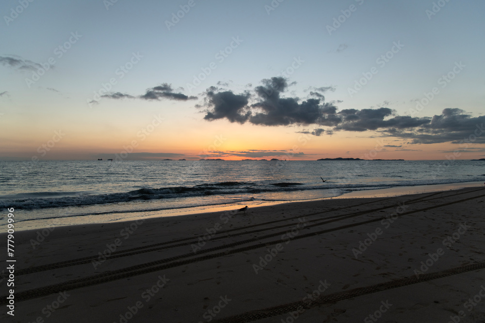 Obraz premium Seascape with the seagull on the beach