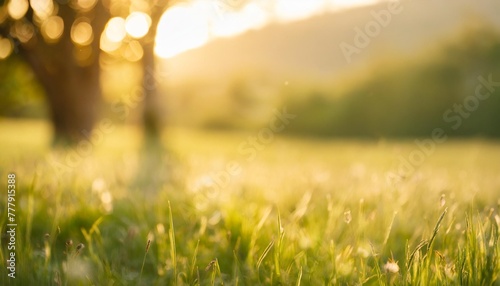 beautiful blurred green nature background with green meadow in foreground idyllic area for recreation fresh springtime or summertime concept with copy space