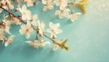 pretty spring cherry blossom branches on turquoise background simple design background