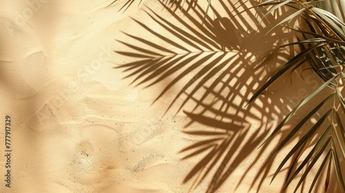 Minimal Summer Concept with Palm Tree Leaves and Shadows on Sand Color Background,Blurred palm leaf shadow wall pastel beige background,Blurred palm leaf shadow wall,Minimal abstract background 