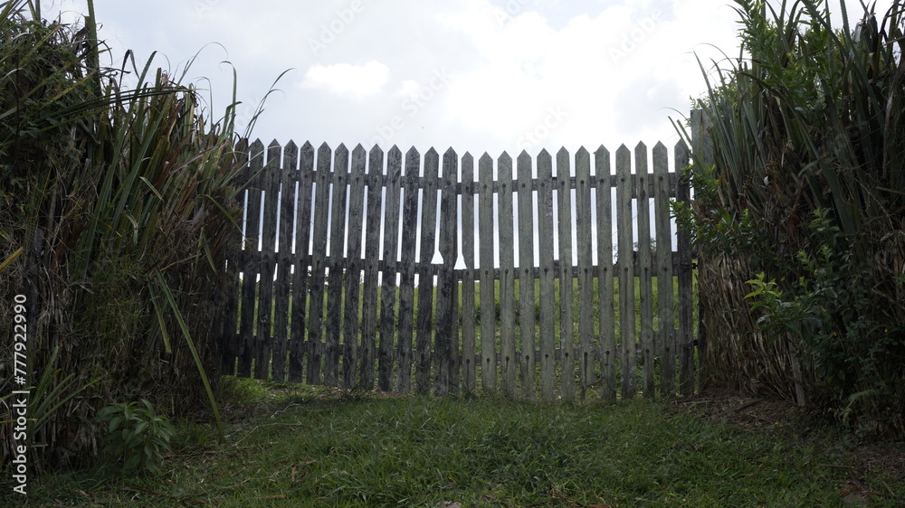 puerta puerta