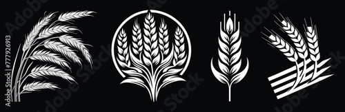 Organic wheat set, bread agriculture and natural eat, harvest icon, isolated on black background, vector illustration. 