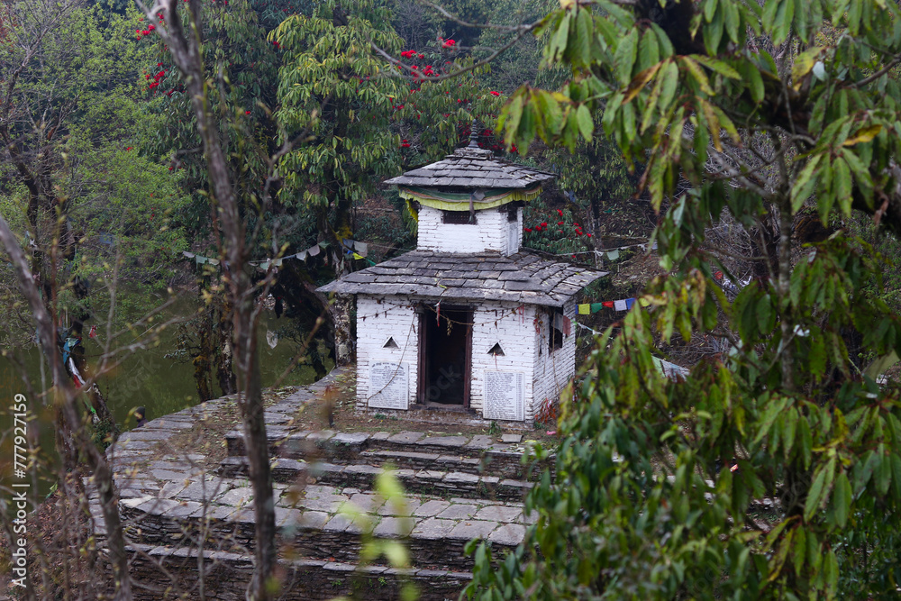 Panchase Temple in Lake with Rhododendron