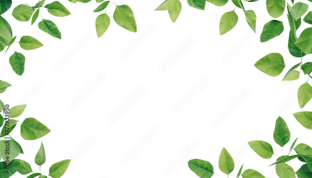 green leaves frame foreground isolated on transparent background cutout