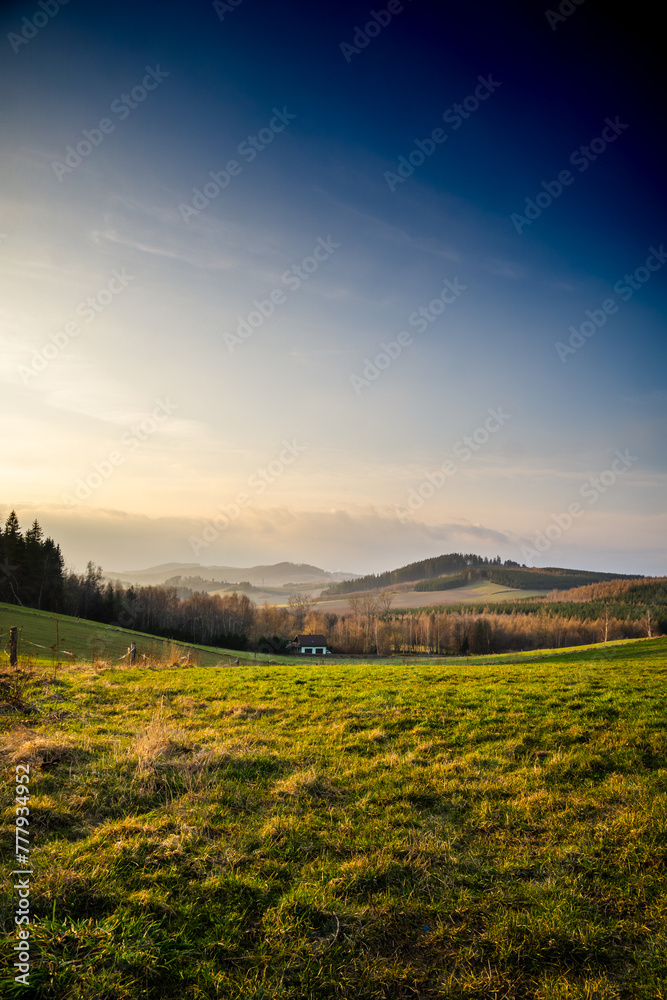 Fototapeta premium Grassy Field With Trees and Mountains