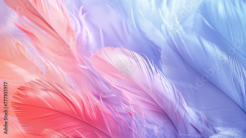 Beautiful pastel colored feathers phone wallpaper  hyper realistic detailed in the style of photography. Art  abstract  and beautiful background.