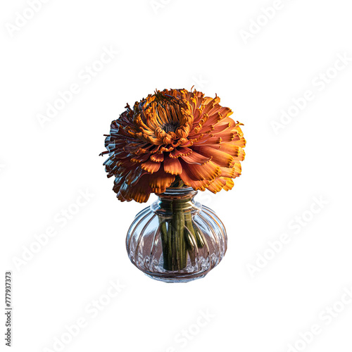 Marigold on a glass bottle  transparent background