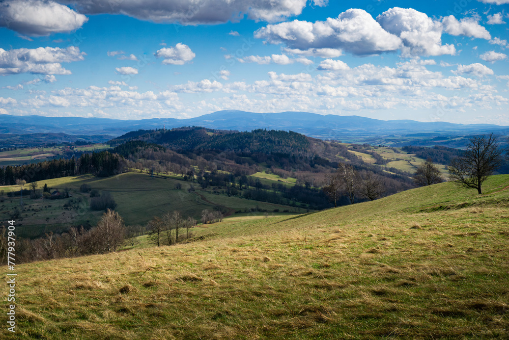 Fototapeta premium A grassy hill covered in greenery with a few trees scattered at the top