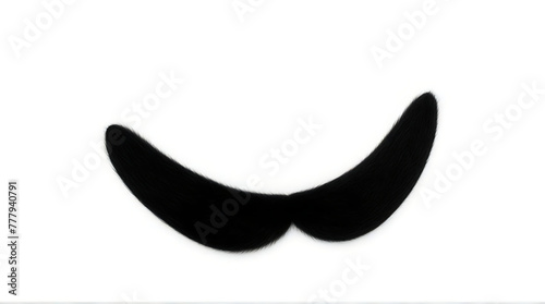 Black mustache isolated on a white background, facial hair props, stamp