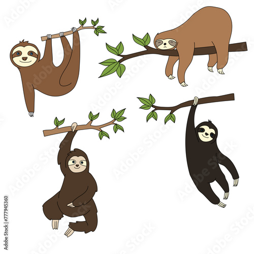Photography Sloth Clipart Set