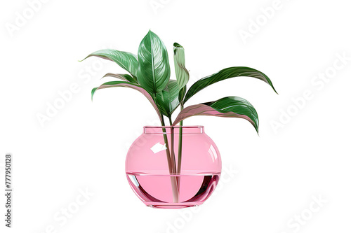 Flask with exotic plant isolated on PNG Background. Generative Ai.