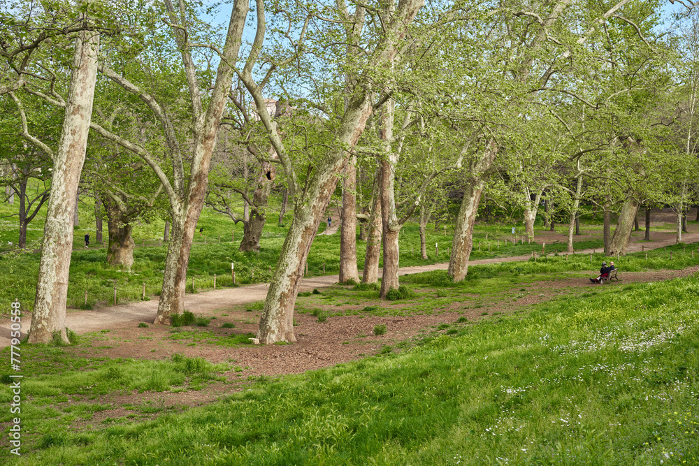 Spring view of the gardens of Villa Borghese in Rome, Italy Spring view of the gardens of Villa Borghese in Rome, Italy