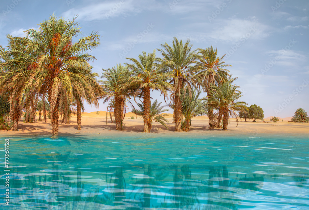 Sand dunes surround the oasis with palm tree and lake - Sahara, Morocco