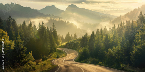 Asphalt winding road in the forest in the mountains in foggy weather