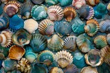 Stack of Seashells