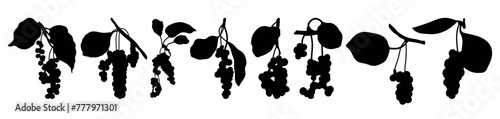 Chinese lemongrass berries silhouette stencil templates