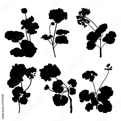 Geranium flower plant silhouette stencil templates
