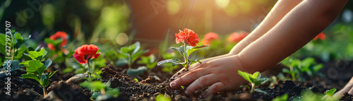Girl's hands tenderly plant red flowers in the garden, nurturing nature's vibrant beauty with care and dedication.