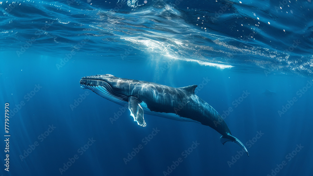 A humpback whale swimming in the deep blue sea, captured in stunning underwater photography, AI Generative. A humpback whale swimming in the deep blue sea, captured in stunning underwater photography, AI Generative.